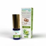 Magic Agaricus Blazei Murill - Ceai Verde - 10ml